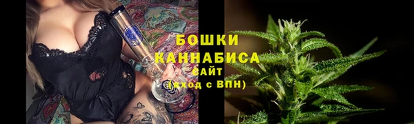 стаф Белоозёрский