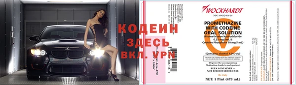дживик Беломорск