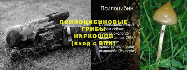 МДПВ Белокуриха