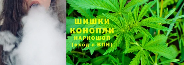 стаф Белоозёрский