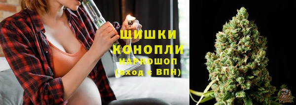 дживик Беломорск