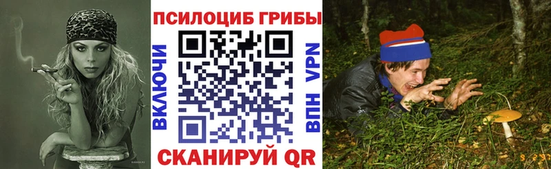 Псилоцибиновые грибы Psilocybine cubensis  цена   Ворсма 